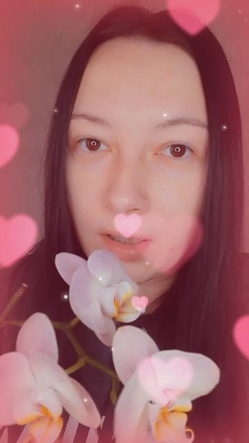 Всё про орхидеи смотреть онлайн