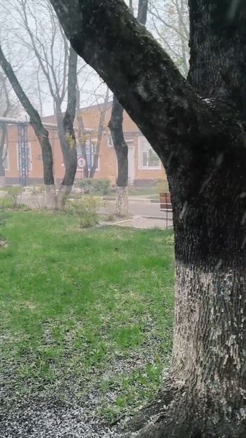 ❄️ Майский снег в Сергиевом Посаде — Природа удивляе