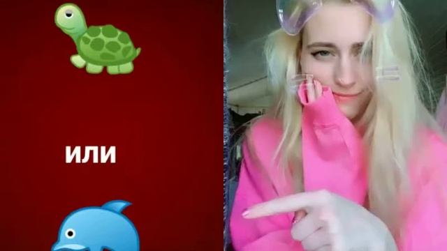 Настя кош смотреть онлайн