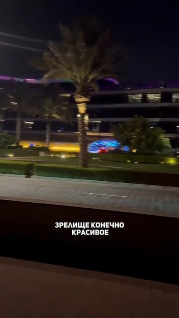 Акулы в Дубае #акулы #акула #дубай #дубаймарина #видеоо? смотреть онлайн