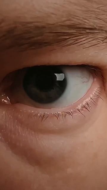 «Гребенщик — Вспомнил, что забыл». Мини-альбом в сети ?