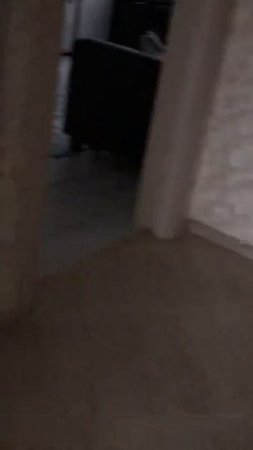 Гаджи ест козявки ))) смотреть онлайн