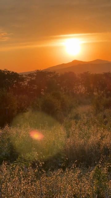 Село Алтайское, Алтайский край смотреть онлайн