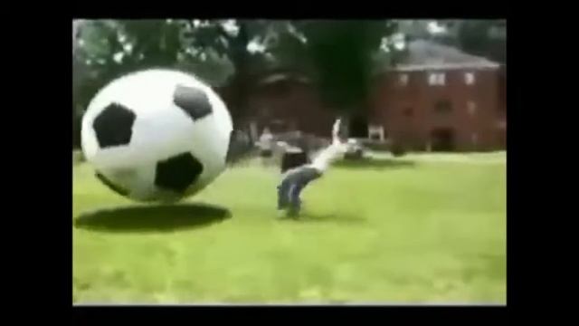 Funny videos. Смешное видео. смотреть онлайн