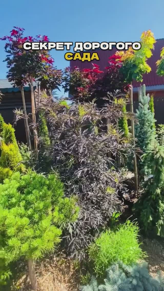 Стоят «Копейки» - Выглядят На Миллион! 🌺 💰 смотреть онлайн