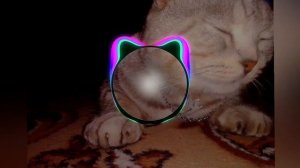 дора дура+астрал степ