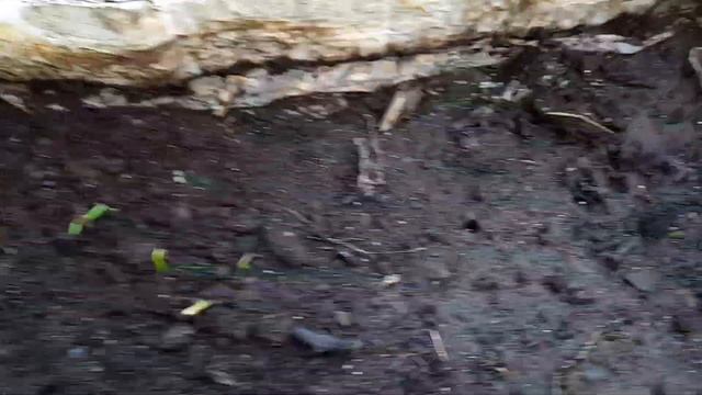 продолжение 11 апреля 2024