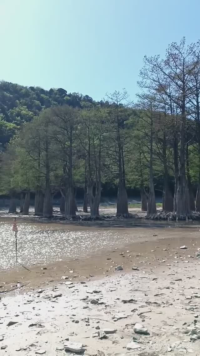 ❗ЕДИНСТВЕННЫЙ КИПАРИС В РОССИИ! ОЗЕРО СУККО, КРАСНОДАРСКИЙ КРАЙ 29.04.2025 смотреть онлайн
