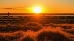 Районная выставка охотничьих собак 27.04.2025 Ростовская область п. Орловский