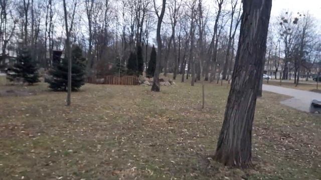 🐿️орехи есть 🐿️Белочки нет😄 смотреть онлайн