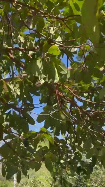 Природа 💖💖💖 смотреть онлайн