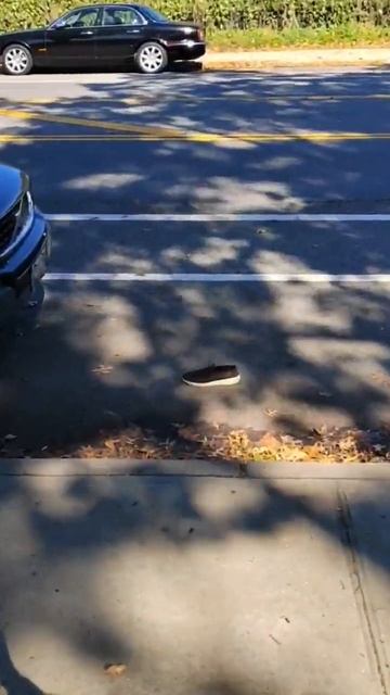 бесплатная парковка в США смотреть онлайн