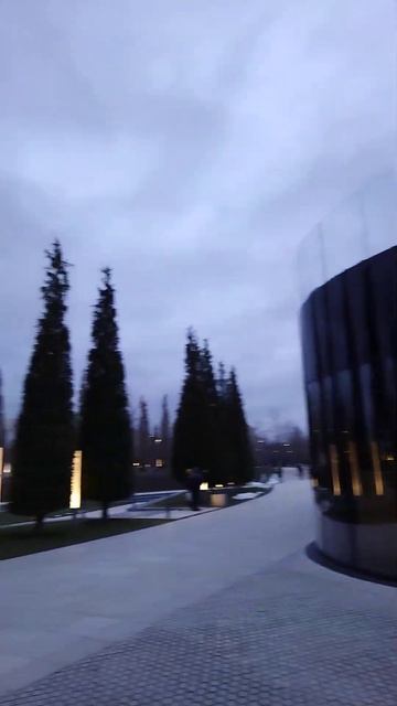 красивая ель в парке Галицкого, Краснодар смотреть онлайн