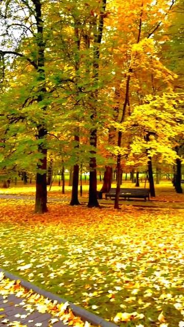 Красота должна быть прежде всего в душе 🙏 смотреть онлайн