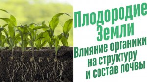 Что такое плодородие почвы?