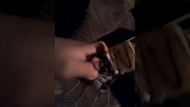 Распаковка пирожных из фикс прайса смотреть онлайн