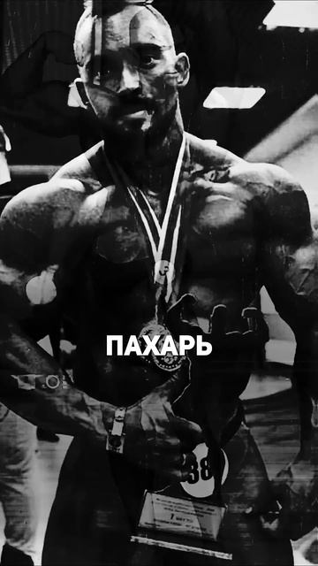 Есть ли в России настоящие бодибилдеры? #бодибилдинг смотреть онлайн