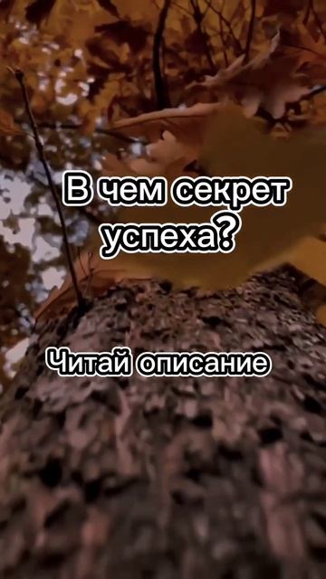 СЕКРЕТ успеха есть! Я научу тебя зарабатывать онлайн. ? смотреть онлайн