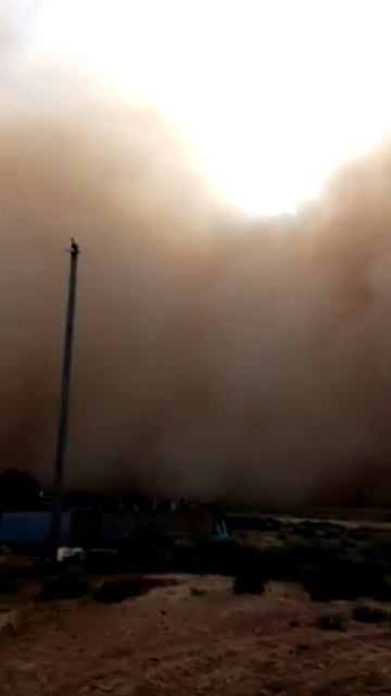 ЛИМАН. Астраханской обл. 19.05.2020г. смотреть онлайн