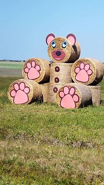 Новый вид медведя из красной книги смотреть онлайн