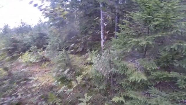 Летняя экспедиция 2017 смотреть онлайн