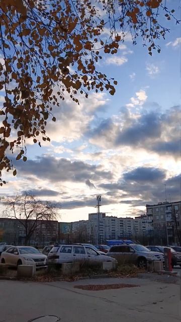 19.10.2023 Береза у подьезда смотреть онлайн