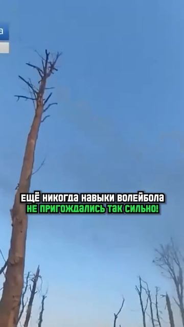 НЕРЕАЛЬНЫЙ СЛУЧАЙ! ОТБИЛ ГРАНАТУ РУКОЙ И ВЫИГРАЛ В ЖИЗ смотреть онлайн