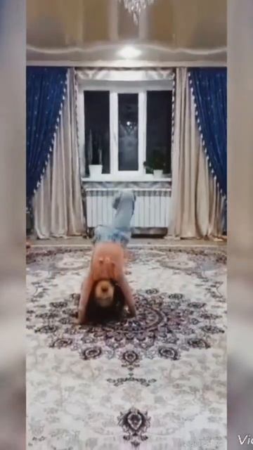 Гимнастика.Азалия смотреть онлайн