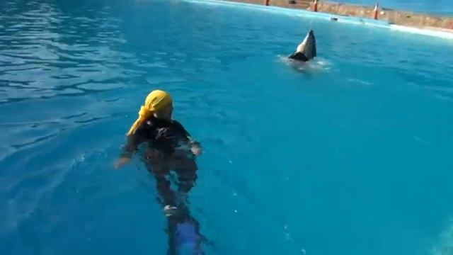 Ликующая Радость ЖИЗНИ! Татьяна Юдина смотреть онлайн