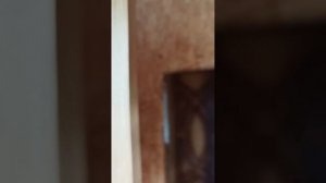 Кооперативная 42