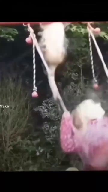 Азалия 💖 смотреть онлайн