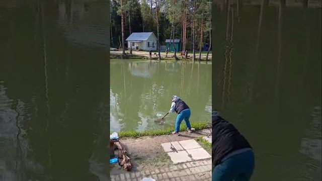 поимки форели смотреть онлайн