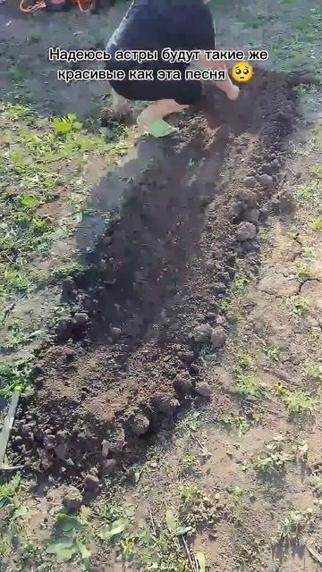 10 дней - полет нормальный 😁 #дача #обзордачи #funny #огоро смотреть онлайн