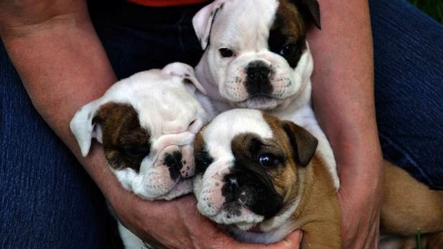 Слушать лучшую русскую песню и видео онлайн смотреть онлайн