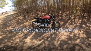 ПУТЕШЕСТВИЯ И ЗАБРОШКИ / сезон НАЧАЛСЯ