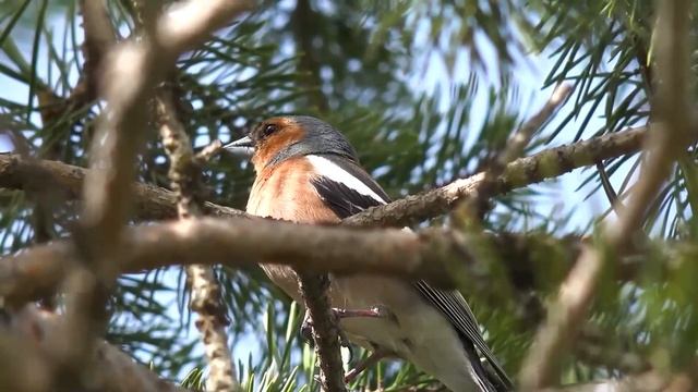 Перестала интересовать любовника как только ушла от мужа. Истории любви