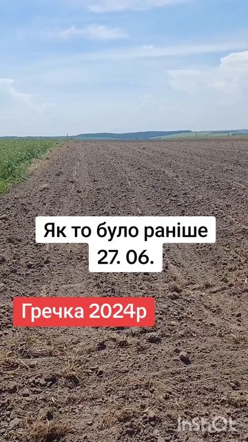 Як підросла наша гречка за 2 з половиною тижні. #село #п? смотреть онлайн
