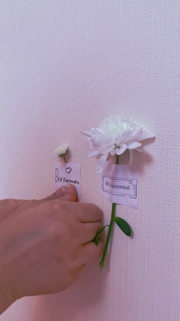 Это знак🦋 смотреть онлайн