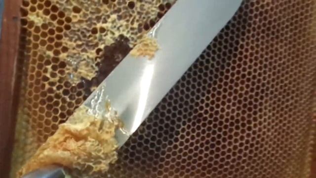 ПЧЕЛЫ (Электронож для распечатки сот)