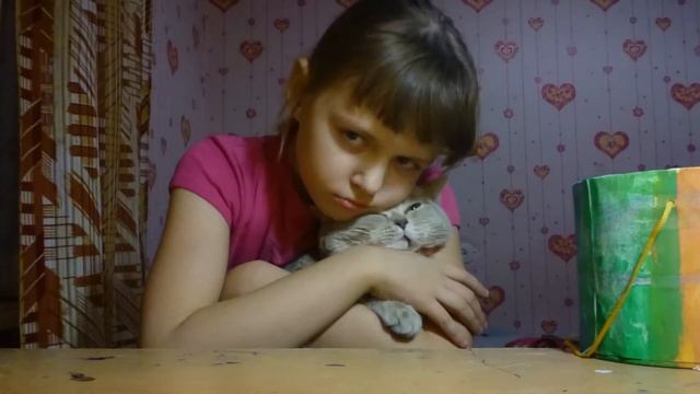 Настоящая еда против нарисованной смотреть онлайн