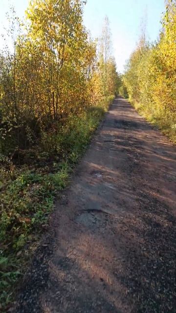 Утро понедельника ,что может быть лучше? смотреть онлайн