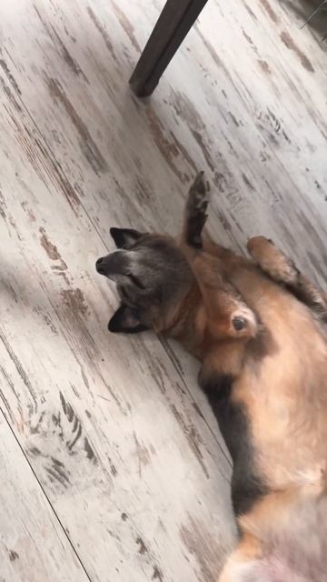 Kick Dat Shit Remix (Remastered) у виконанні 8Ball & MJG смотреть онлайн