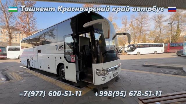 65) Ташкент-Красноярский край автобус | Красноярский кр смотреть онлайн