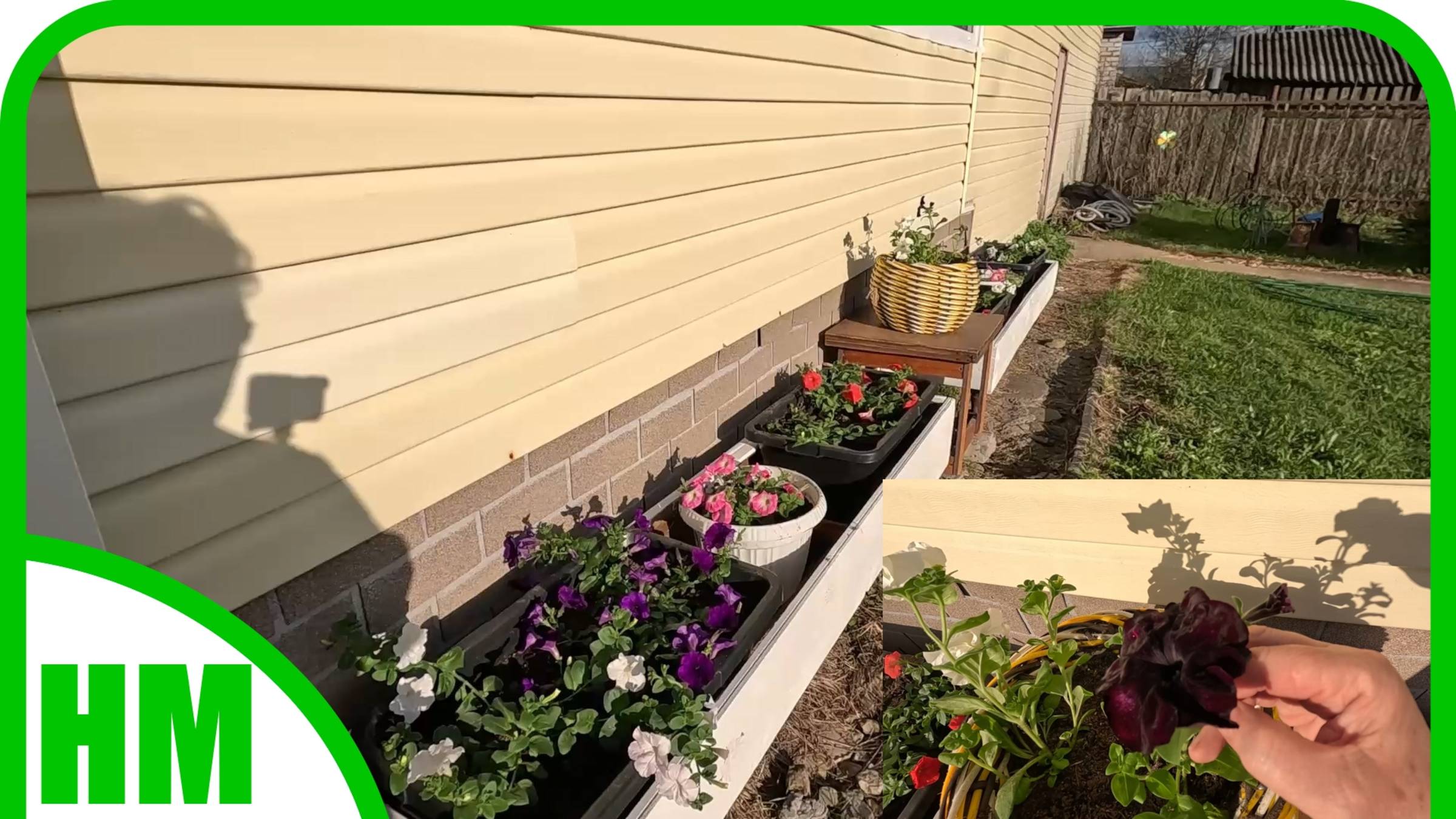 8-9 мая 2025 г. Я закончила посадочно-посевные работы. Теперь ждём урожай и красоту. смотреть онлайн