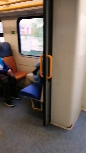 Салон ЭП2Д #shorts #shortvideo #ржд #транспорт #россия #вл11 #иволга #аэроэкспресс #мцд #зима #эд4м смотреть онлайн