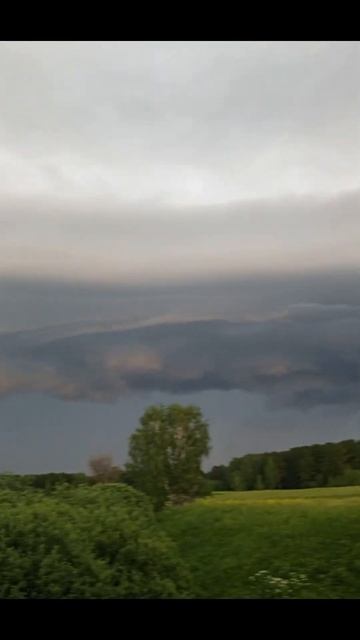 Была вчера вечером после жары #shortsclip смотреть онлайн