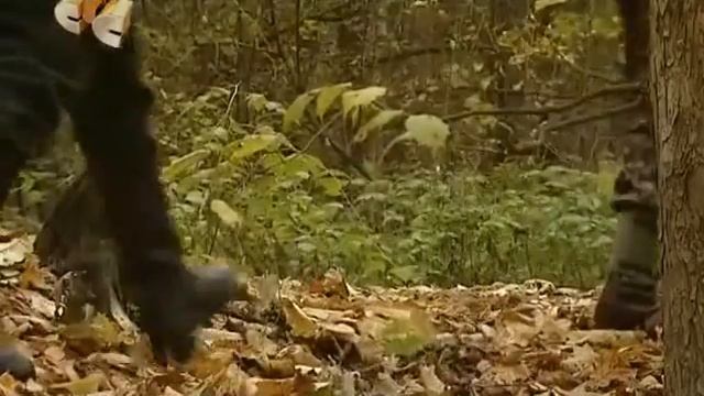 6 кадров - Близко подпустили смотреть онлайн