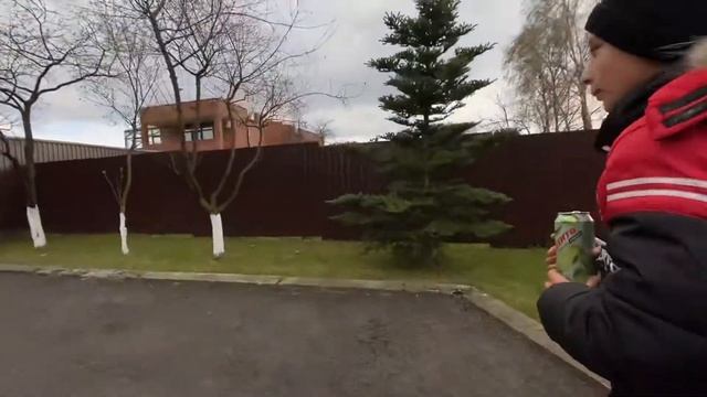 ЖУК КОТОРЫЙ ЗАБИРАЕТ СИЛУ У ДЕРЕВЬЕВ СВЕРХЪЕСТЕСТВЕН? смотреть онлайн