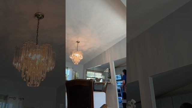 𓆩🖤𓆪⚕𝓜𝓪𝓲𝓽𝓮⚕︎𓆩🖤𓆪 TT