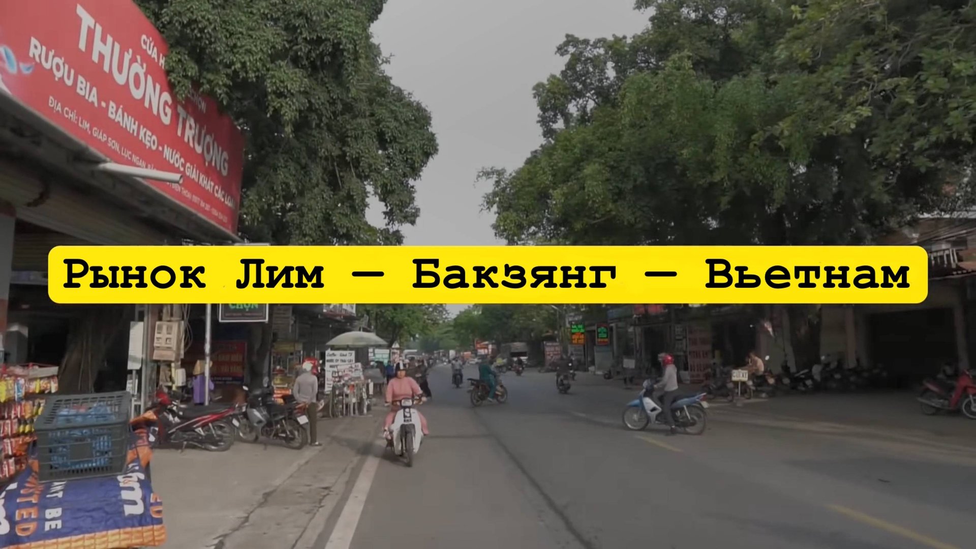 Рынок Лим – Бакзянг — Вьетнам смотреть онлайн